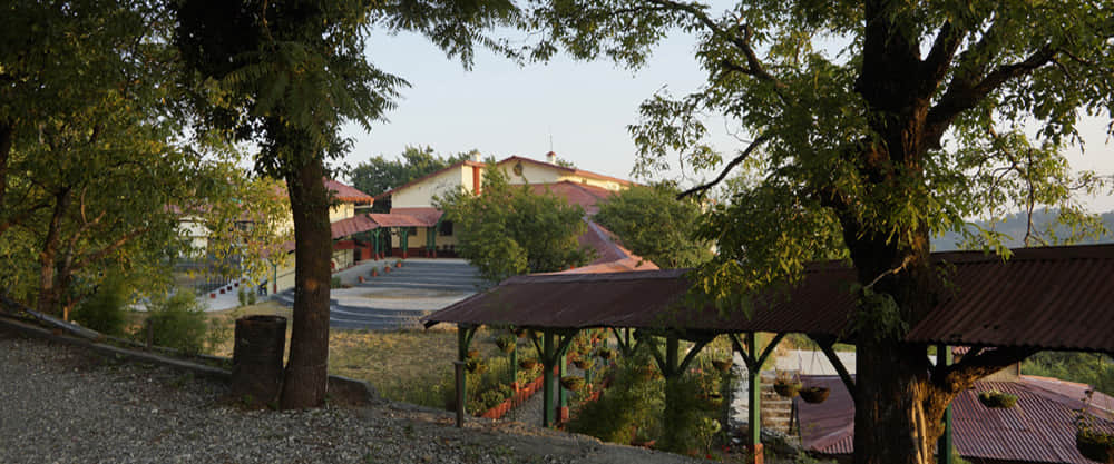 Relax at Heritage Bungalow & Forest Resort