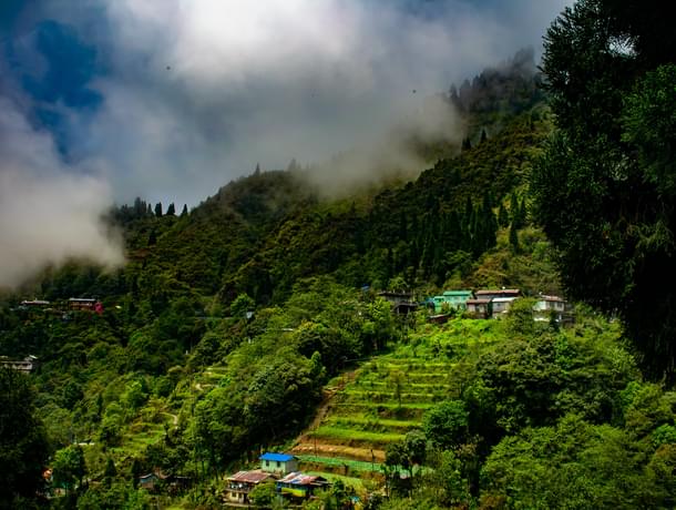 7 Days Tour Of Gangtok Pelling And Darjeeling