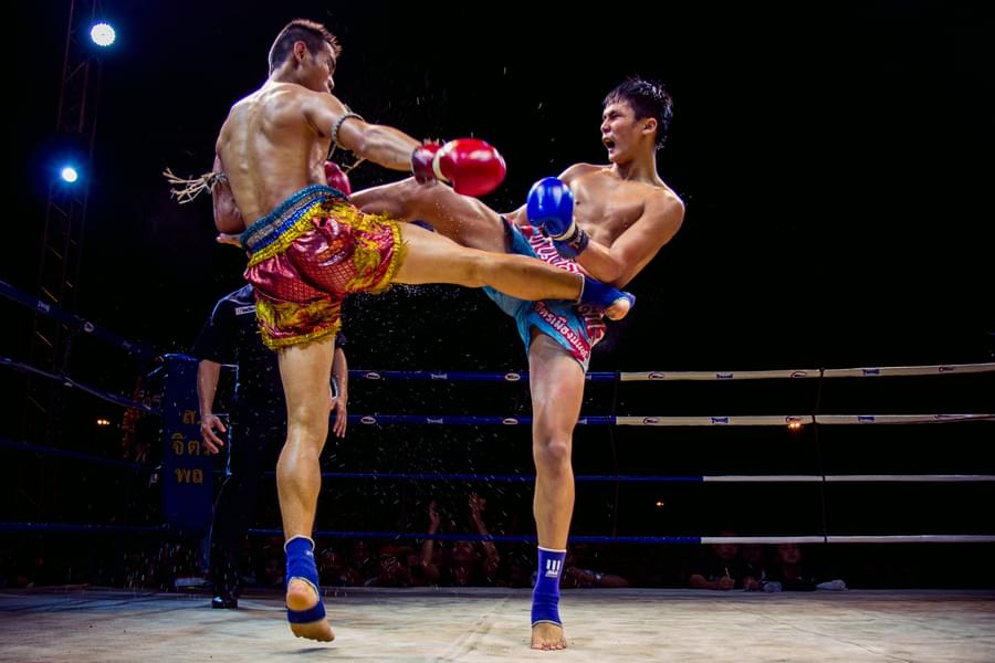 Watch Muay Thai Boxing