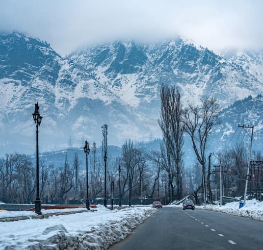 Explore the charm of Srinagar with its lakes, gardens, and vibrant bazaars