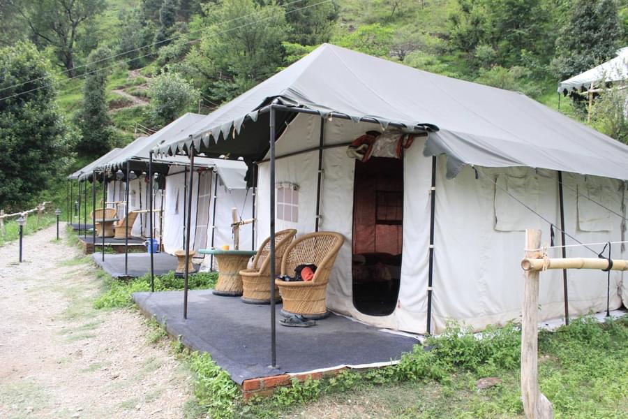 Camp Stay in Nainital Image