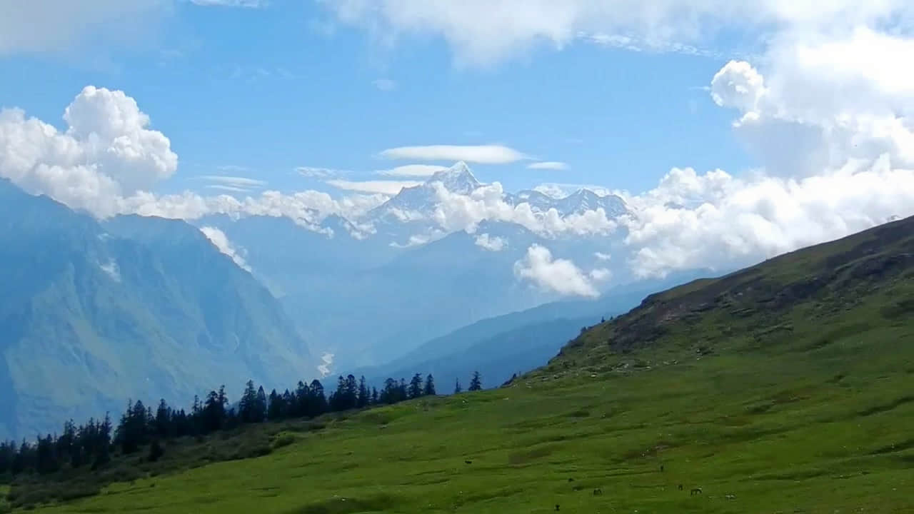 Photo from Ahilya Bhat's trip