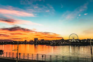 Dvytglz2qbpbs38gbekab65ewq02 malaga 6