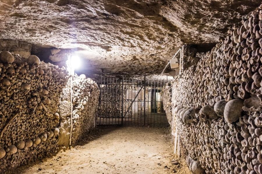 Skulls wall in Catacombs of Paris