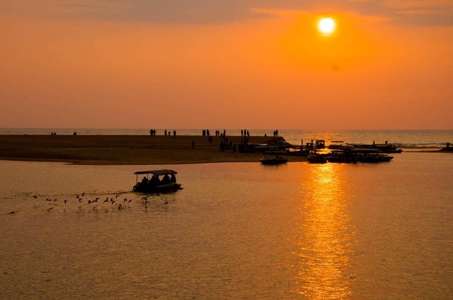 Sunset Boating in Poovar Island Image