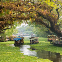 kerala-sightseeing-tour--to-the-kerala-backwaters