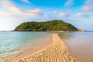 Dwexl17t9m0xjuhmkys8rls6z2c6 1627306268 shutterstock 1177820683