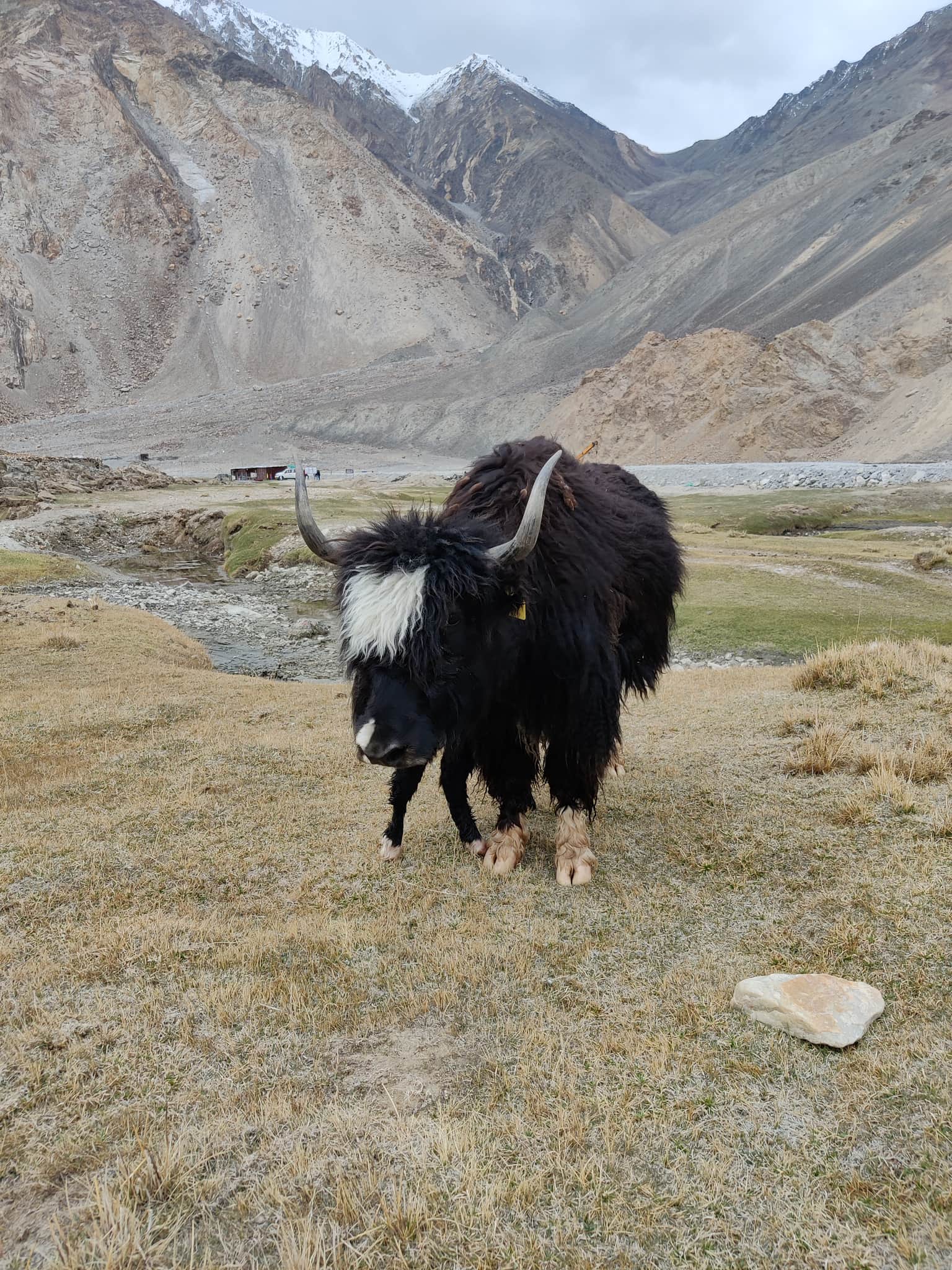 Photo from Vishal Agarwal's trip