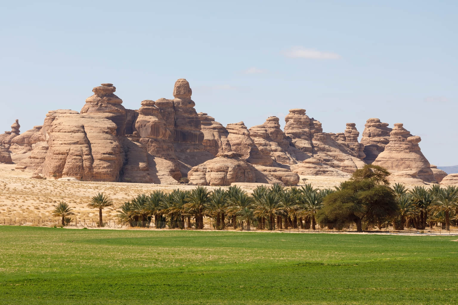 <em>Saudi Arabia</em> Tour Packages From Delhi 