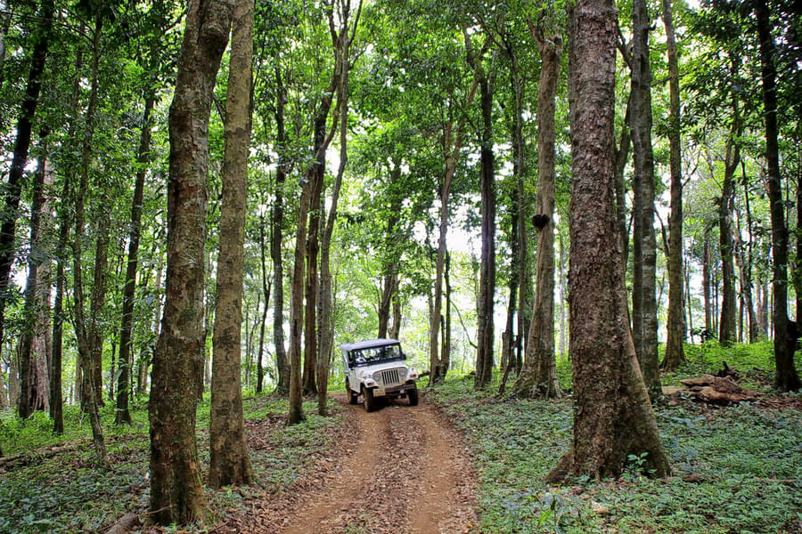 Camping Experience In Wayanad Image