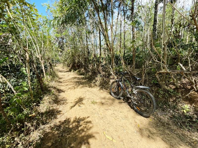 Sakleshpur Camping Experience Image