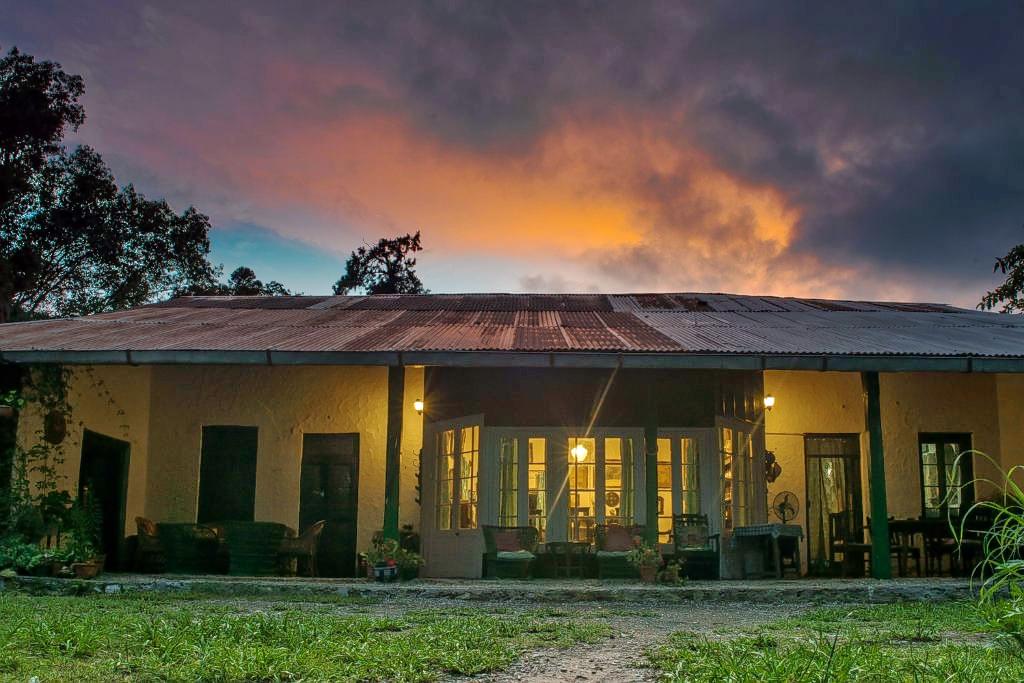 Exterior view of the property