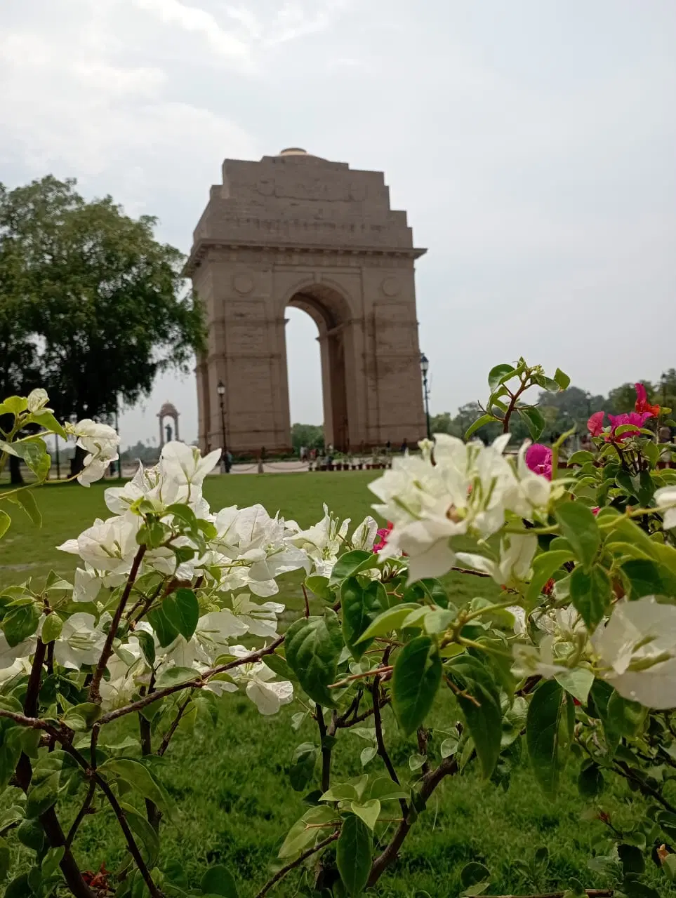Photo from Sheeja Vijay's trip