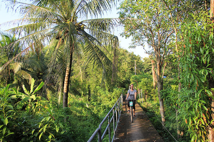 Bangkok Jungle Bike Tour Image