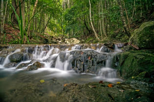 Dz9zx9vq2df4hyxsm65y9luil66d 1627306636 shutterstock 1253410150