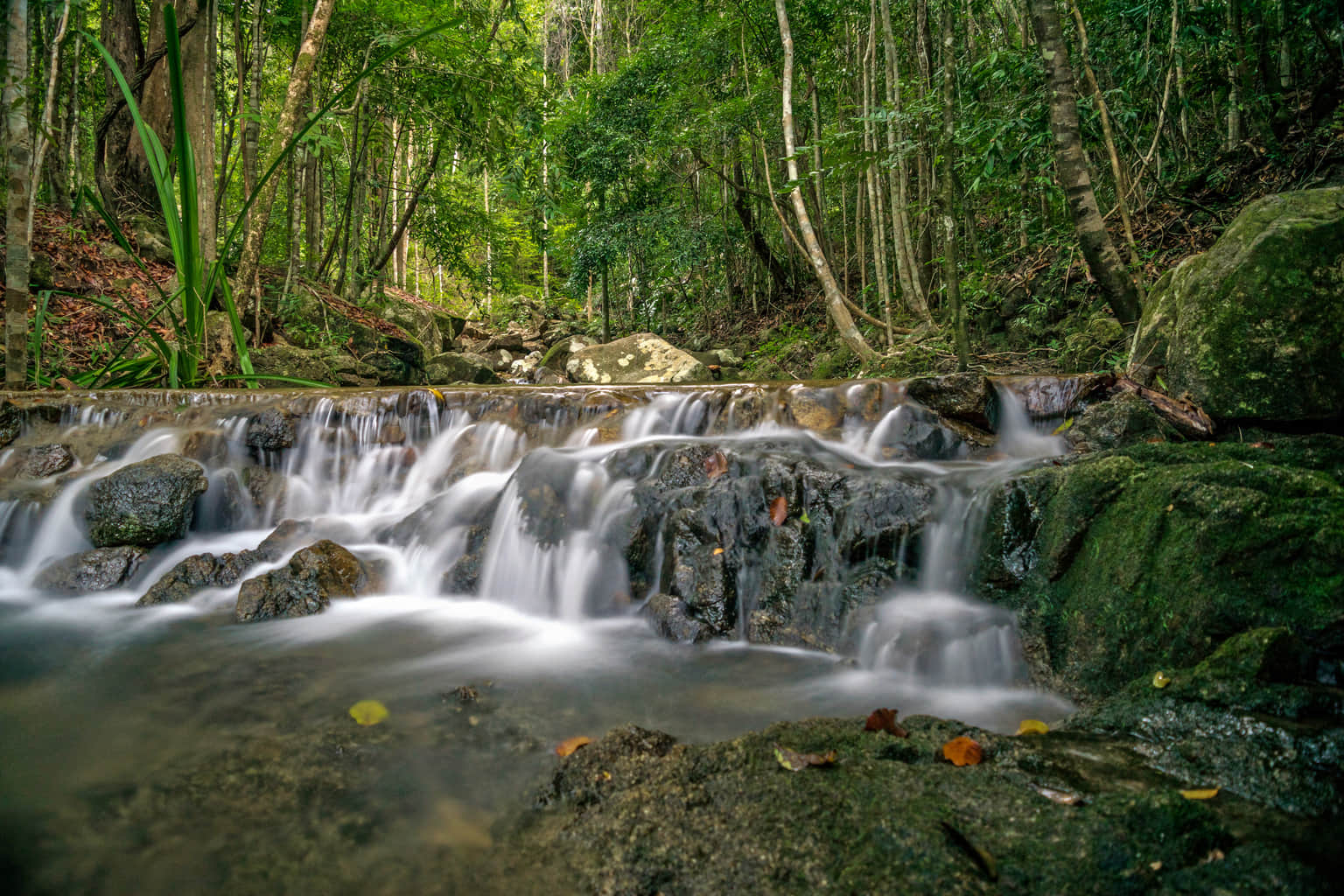 Phaeng Waterfall