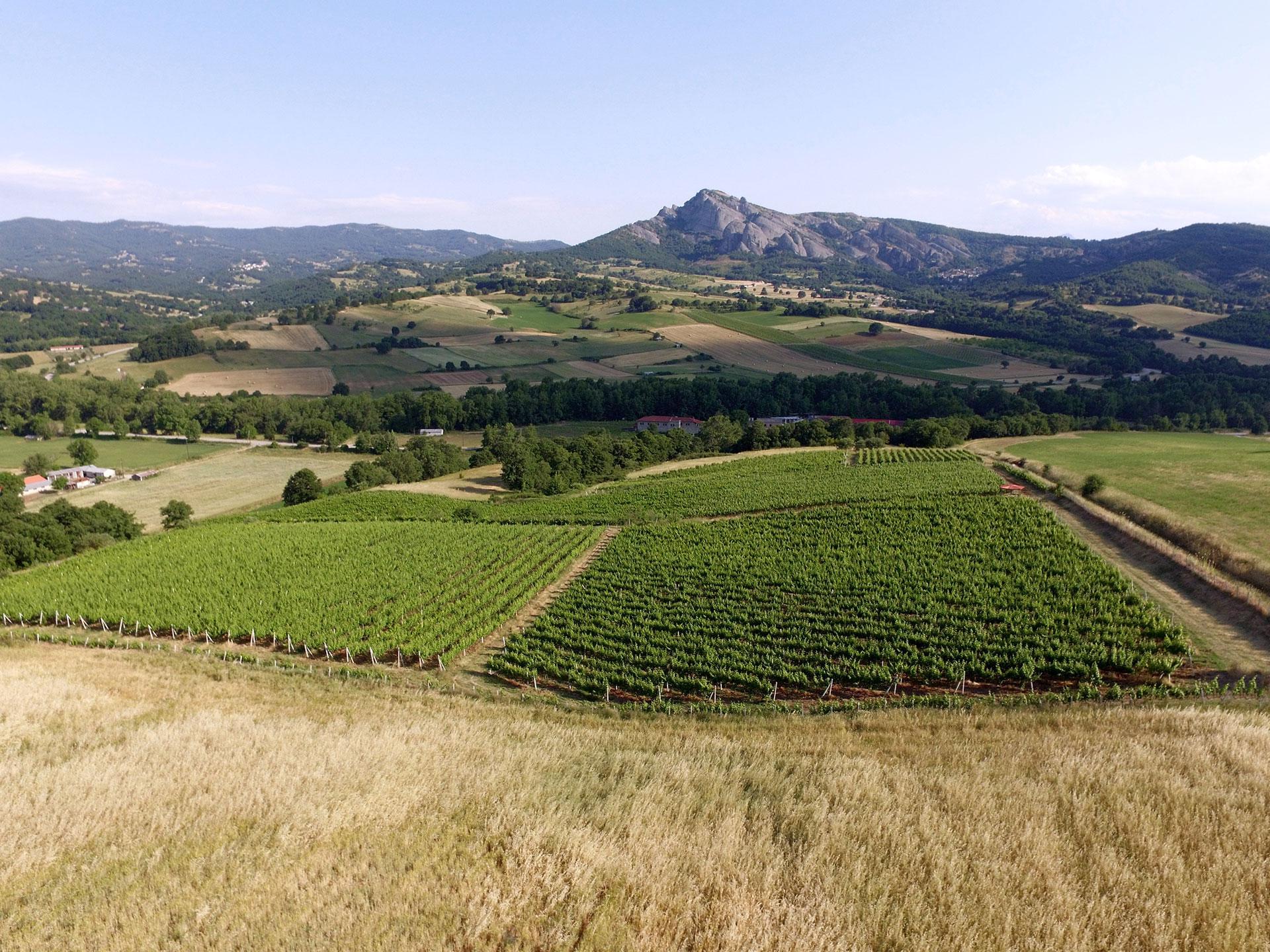 Winery Liakou Meteora Overview