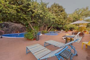 Dzjrpkz7v088gulznddg03f80r7g huy7t65