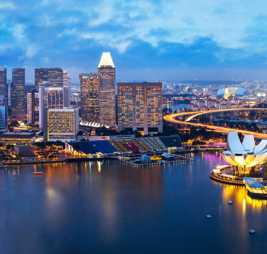Journey Through Singapore with The Disney Adventure Cruise