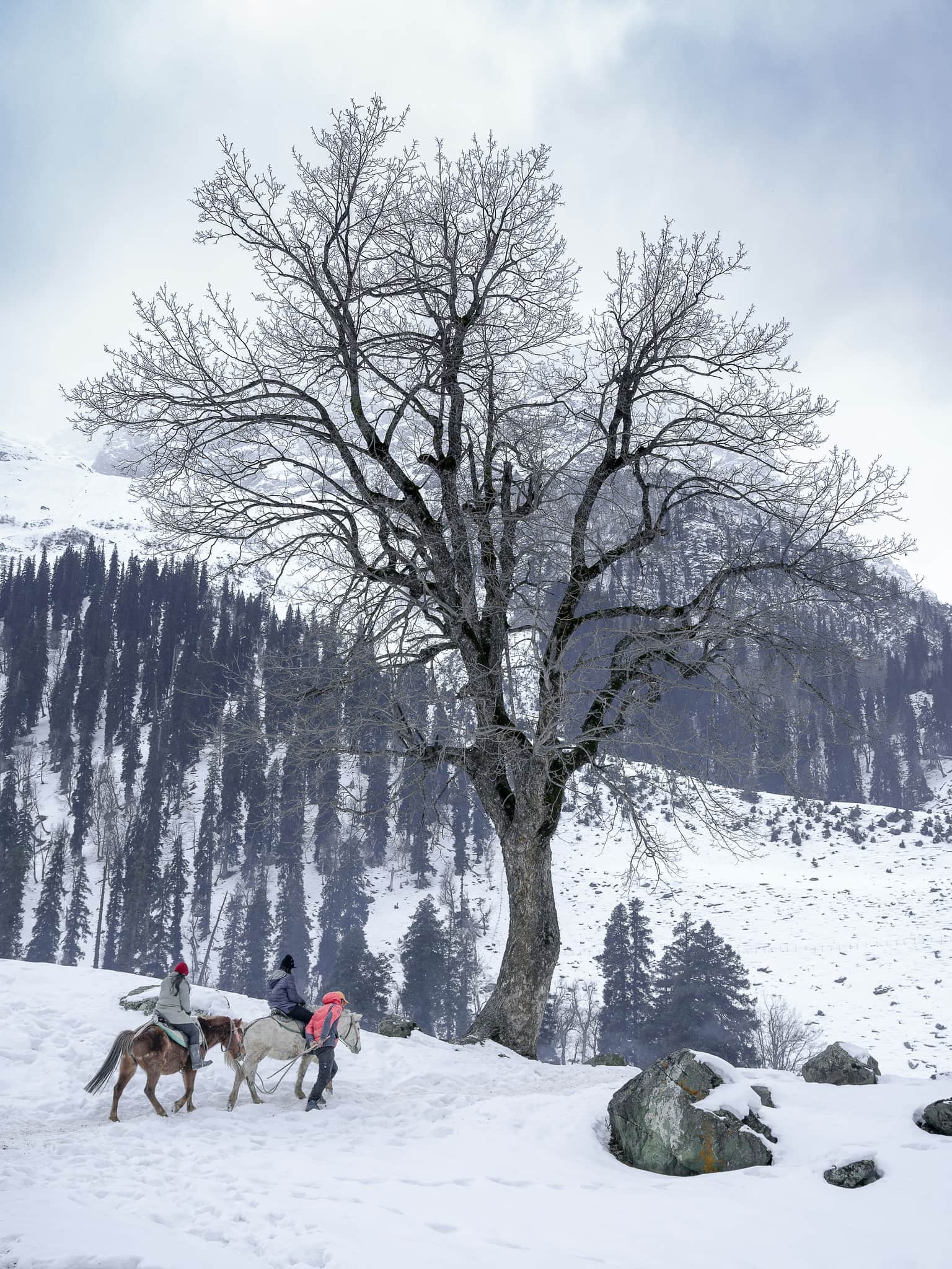 <em>Srinagar</em> Tour Packages From Chennai