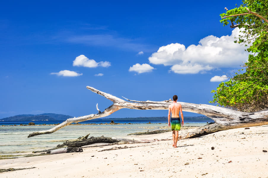 Visit to Elephant Beach Image