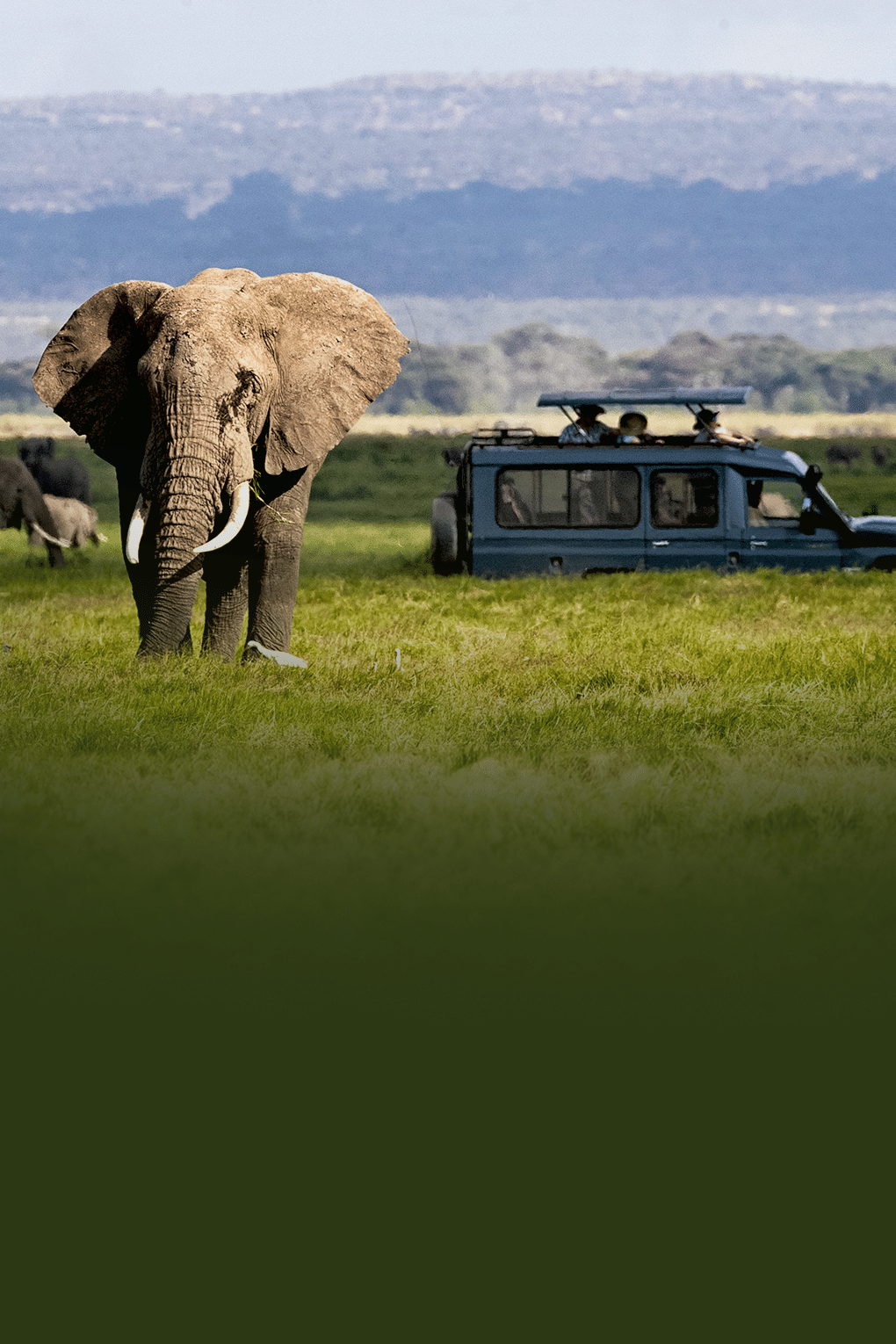 Treasures of South Africa | Safari Stories and Scenic Delights