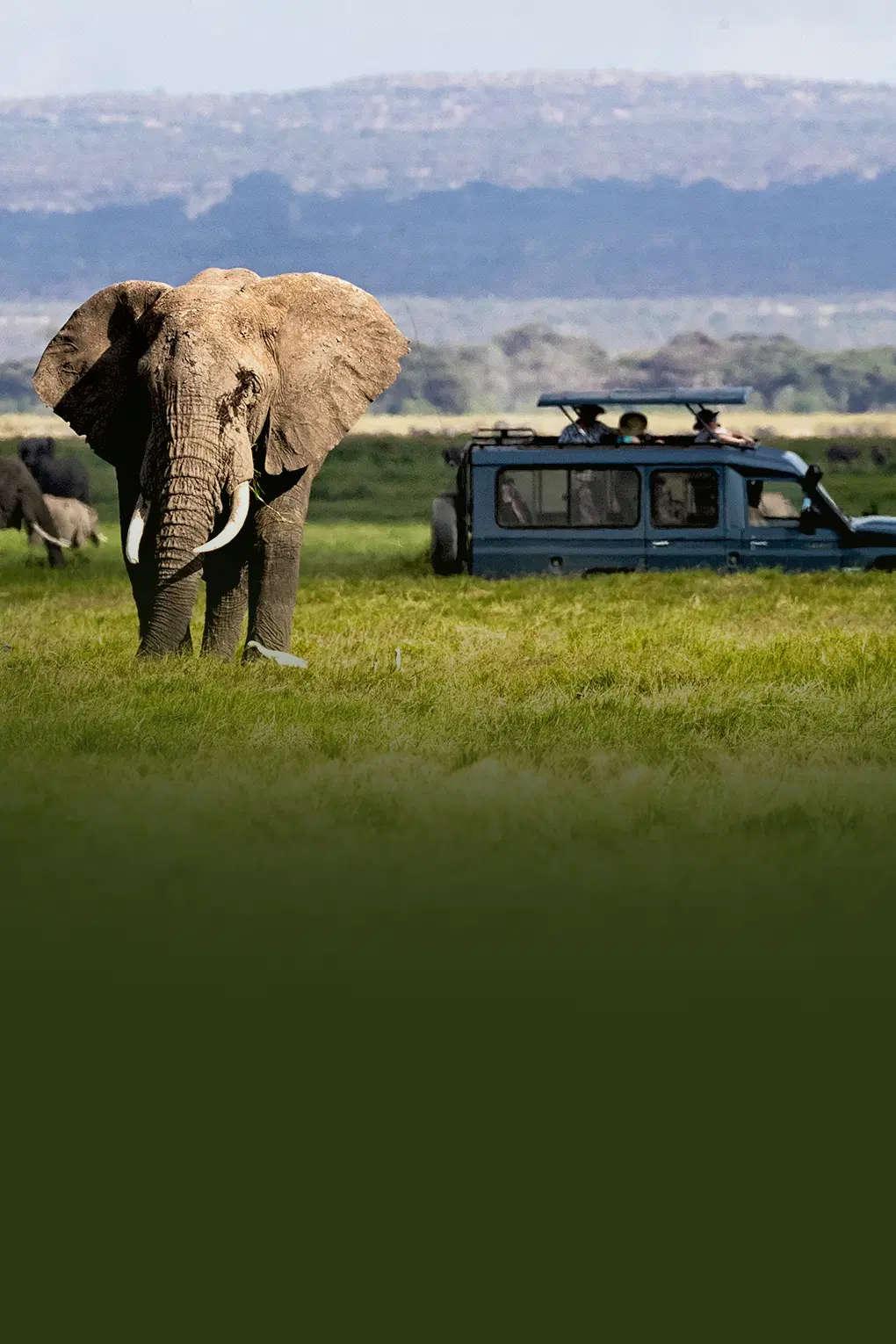 Treasures of South Africa | Safari Stories and Scenic Delights