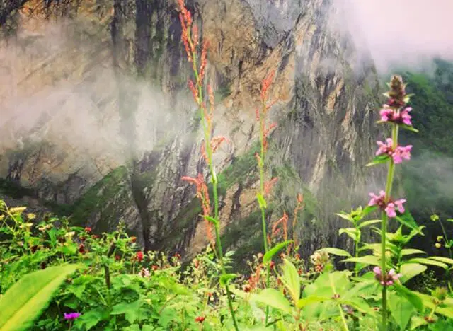 Photo from Kshitiz Jain's trip