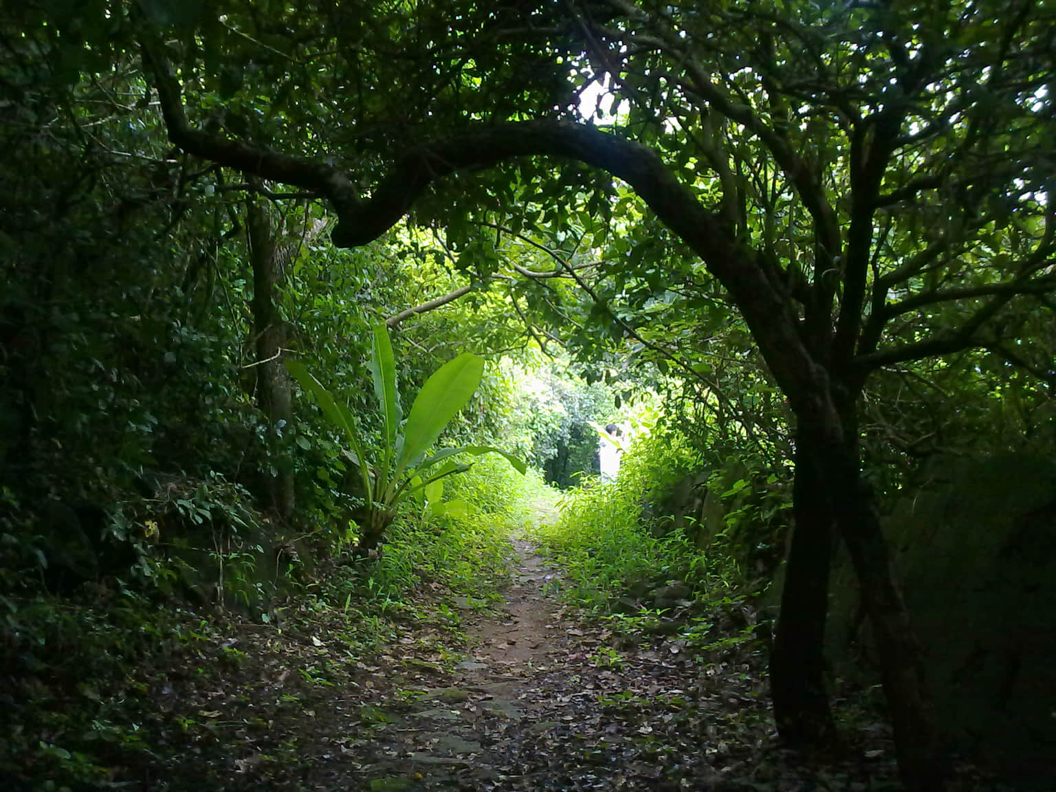 Photo from Shivakari Varman's trip