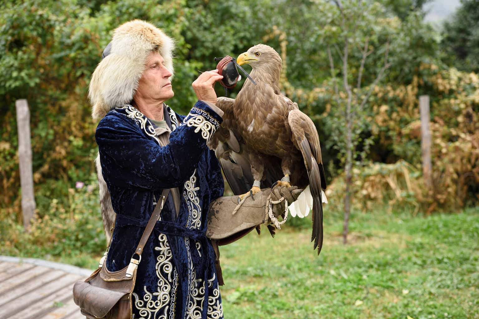 Falcon Farm Sunkar Tour, Almaty