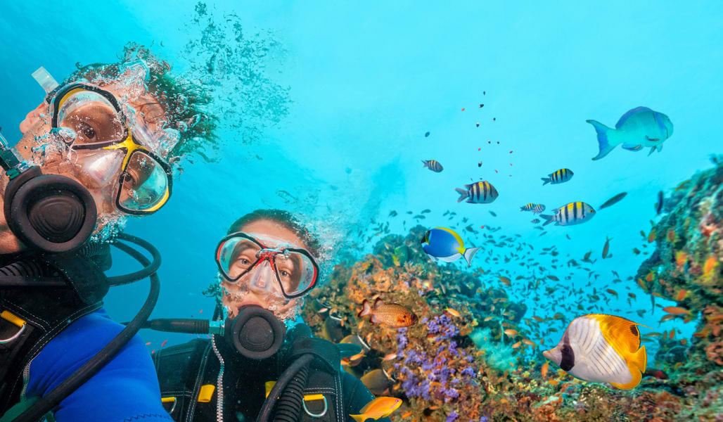 Scuba Diving in Gold Coast Image