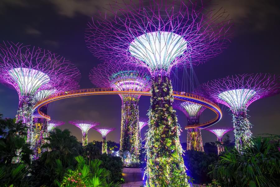 gardens by the bay supertree grove light show