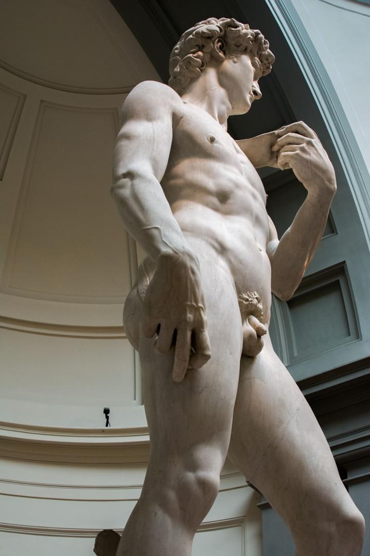 David of Michelangelo Commission