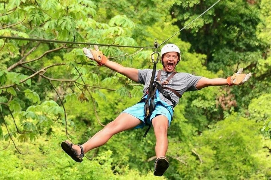 Zipline in Jim Corbett Image