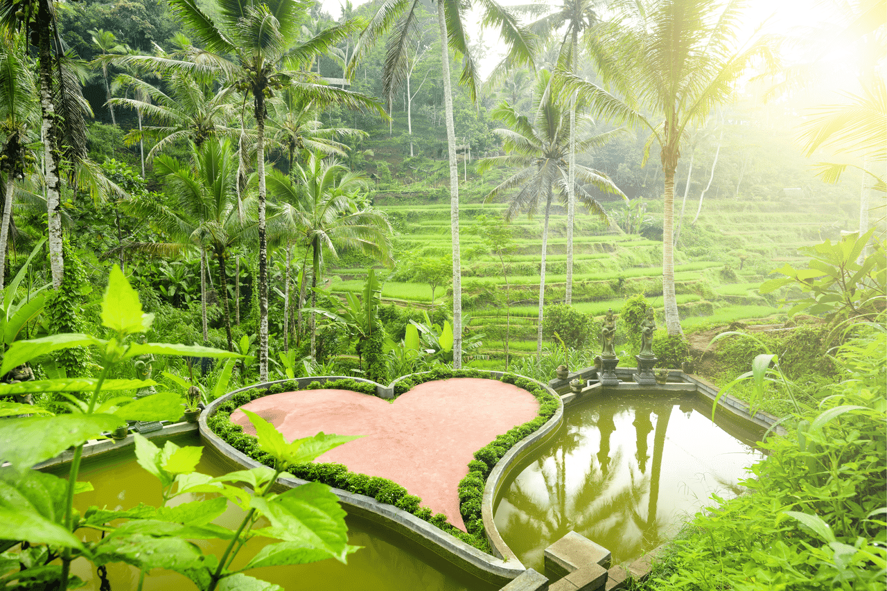 Beautiful Tegallalang Rice Terrace