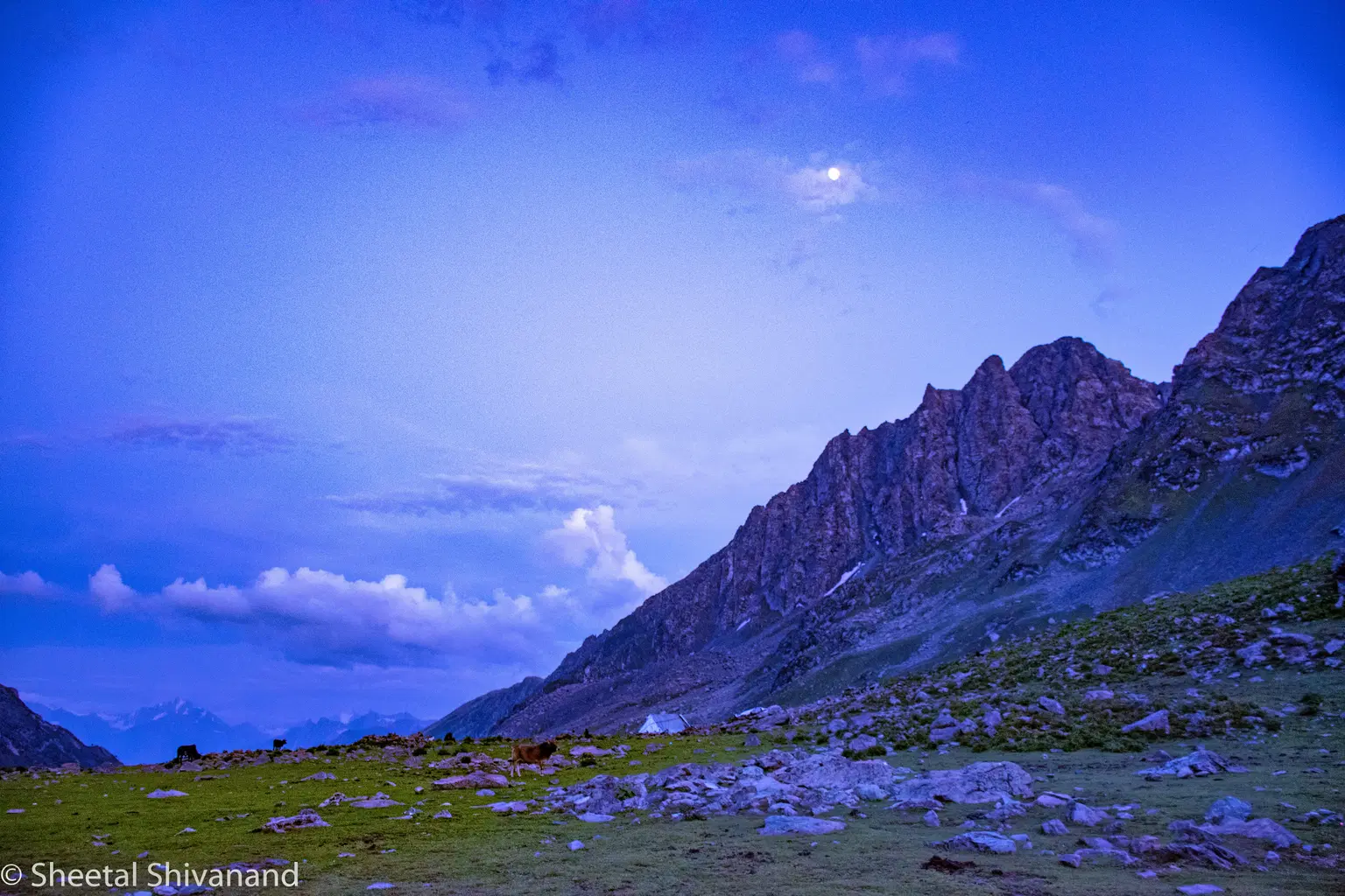 Photo from Sheetal Sheetal's trip