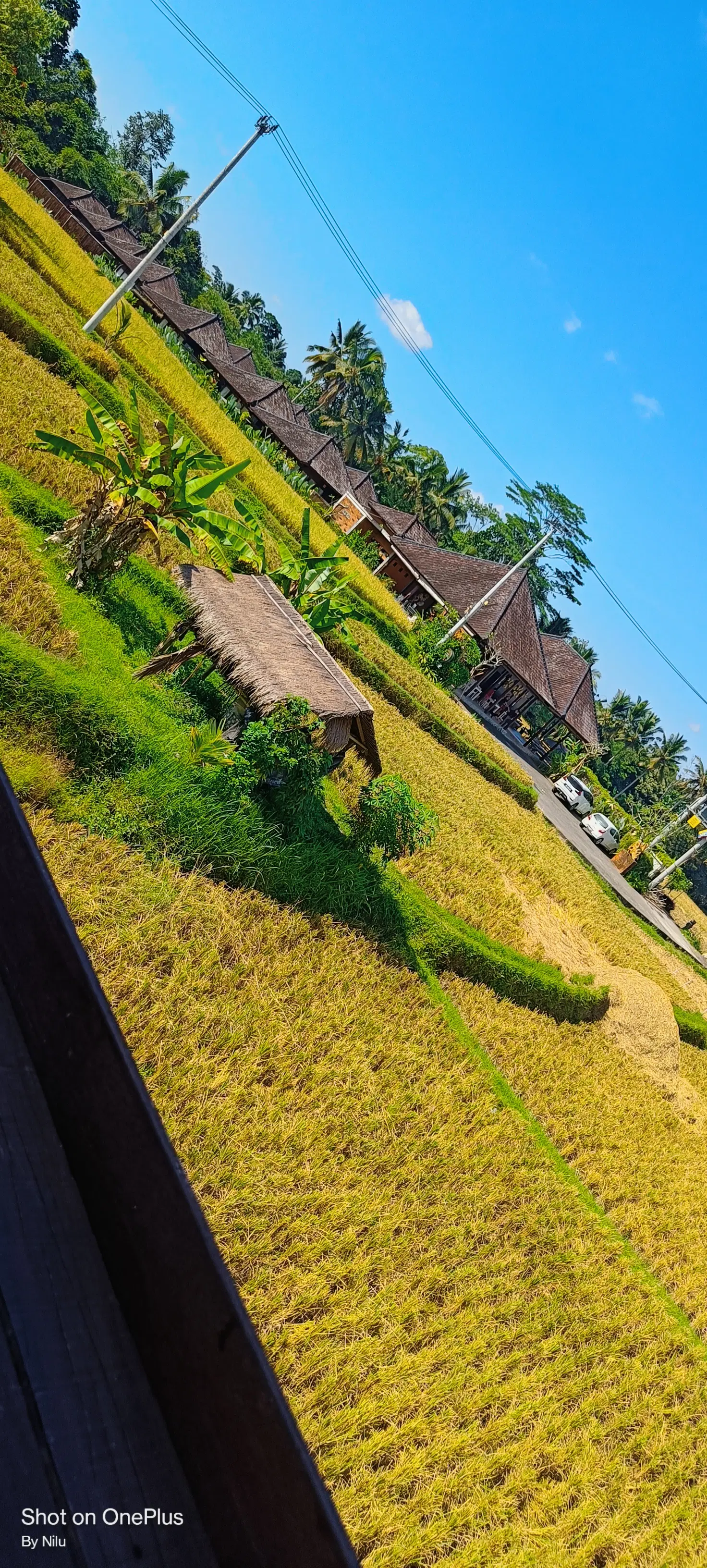 Photo from Akshay Malewar's trip