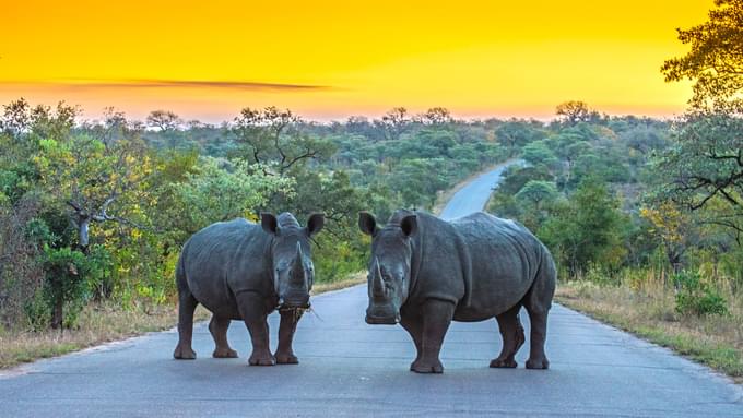 Kruger National Park