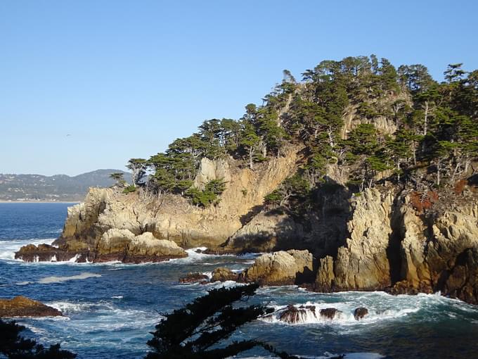 Point Lobos State Natural Reserve