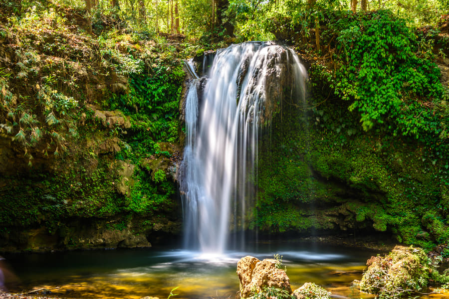 3 Days Jim Corbett Tour Package Image