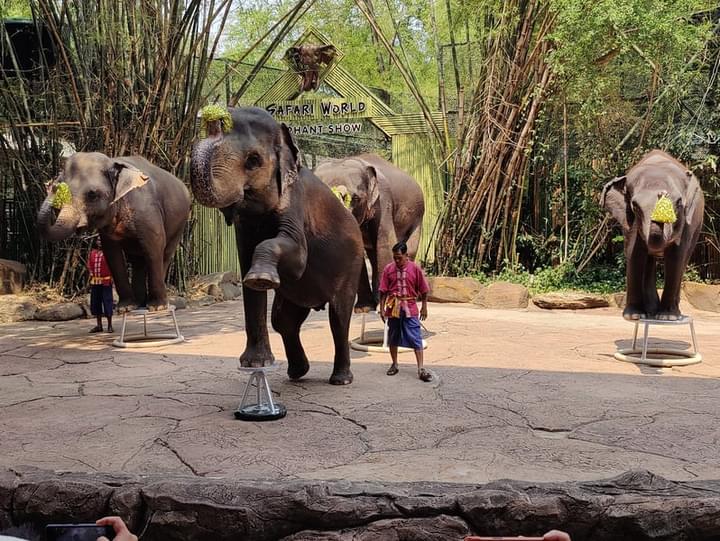 Safari World Marine Park Unforgettable Adventure Awaits safari-world-marine-park-unforgettable-adventure-awaits