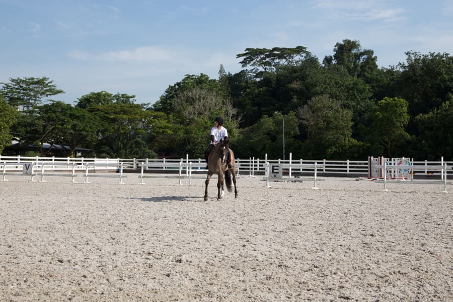 Explore Horseriding in Singapore for a Perfect Equestrian Experience