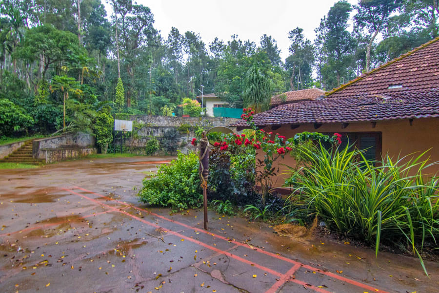 A Thrilling Escape into the Scenic Beauty of Coorg Image