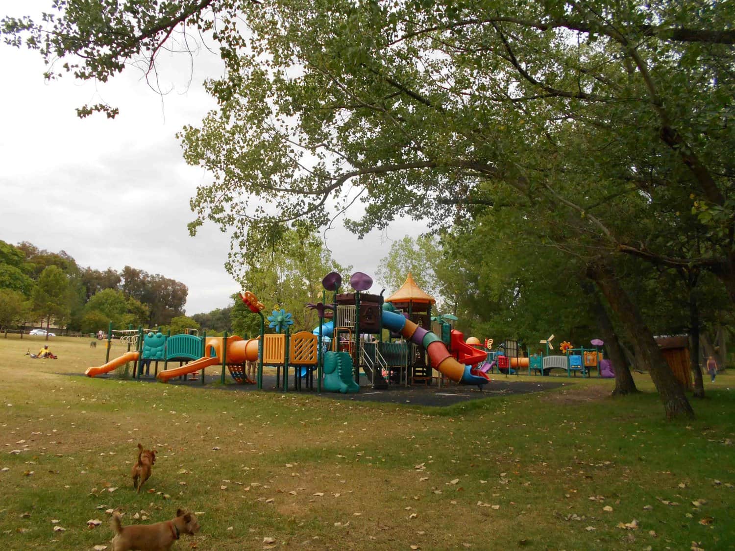 Delta Park