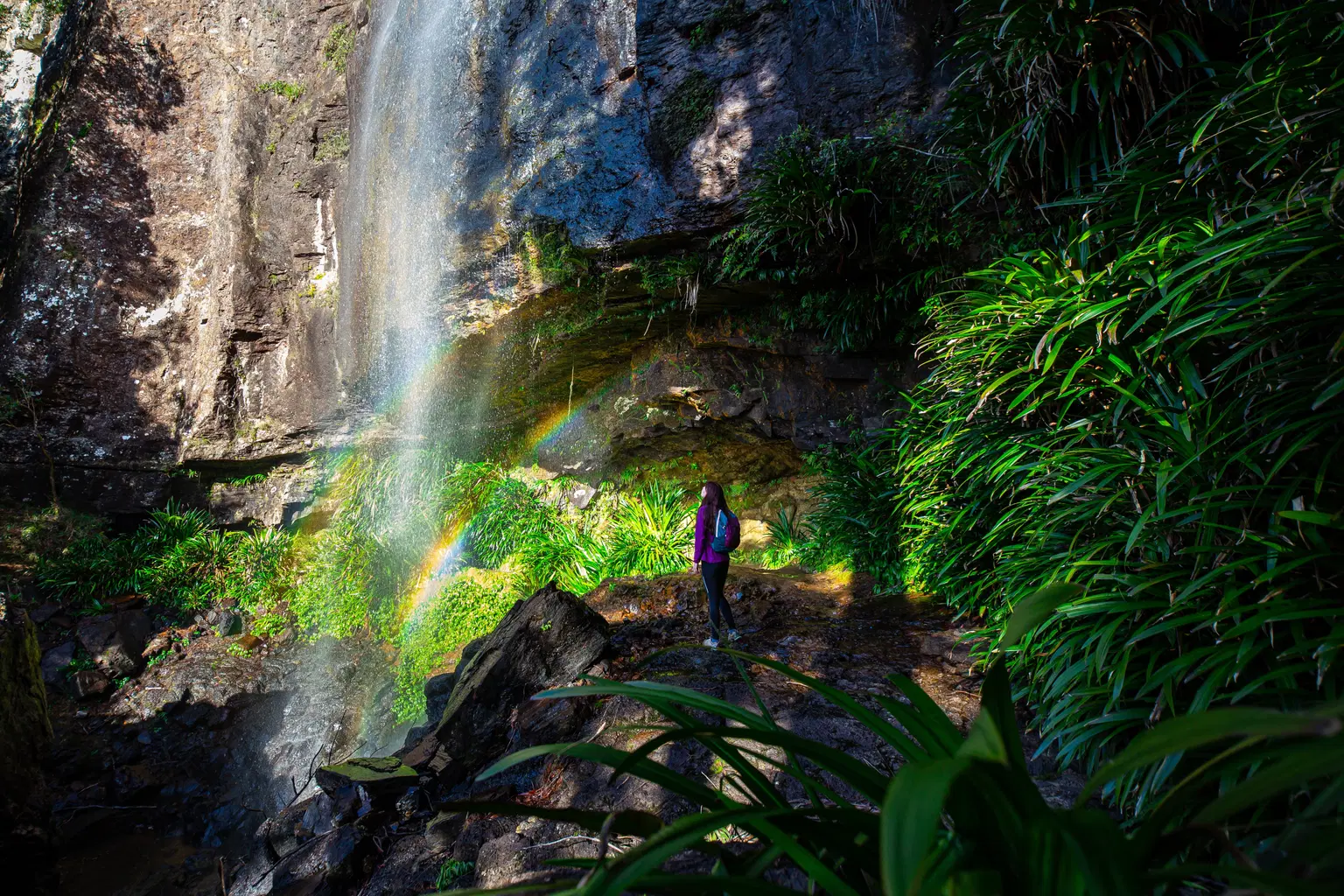 <em>Gold Coast</em> Tour Packages From Pune