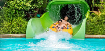 Have a fun-packed day at Adventure Cove Waterpark