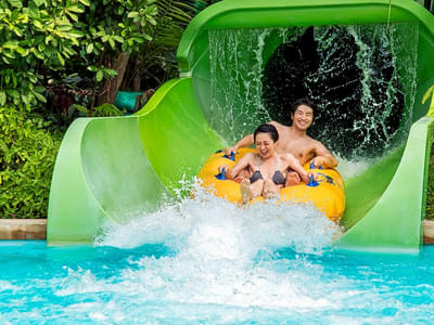 Have a fun-packed day at Adventure Cove Waterpark