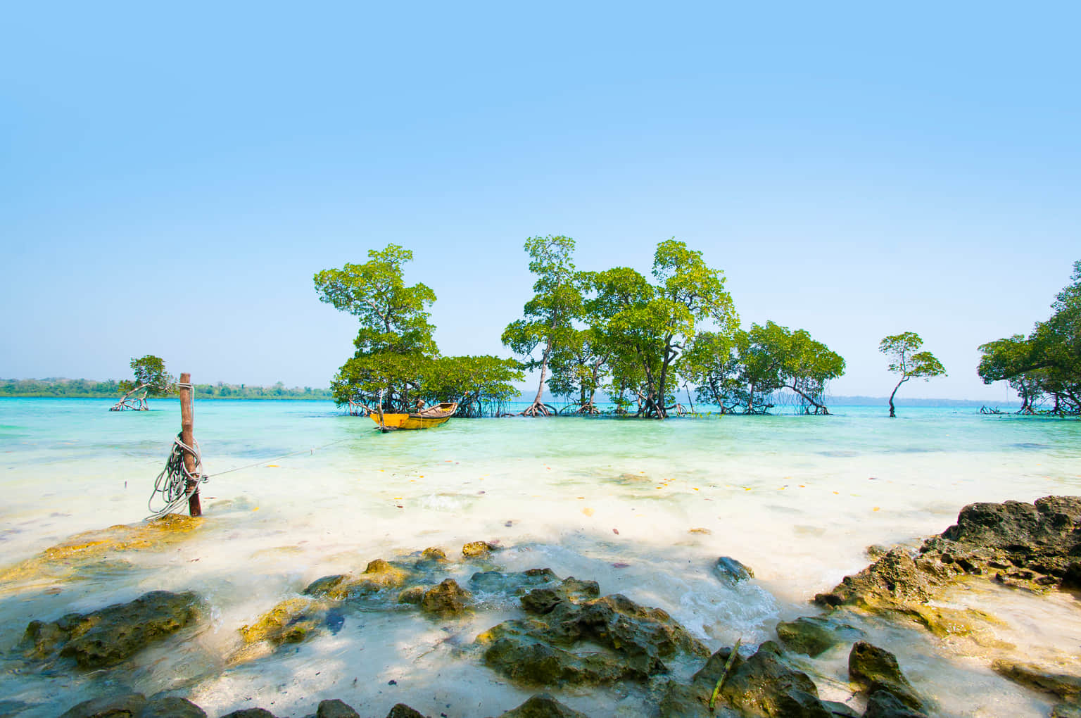 Visit to Elephant Beach