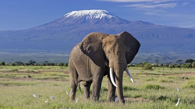 amboseli-national-park.jpg