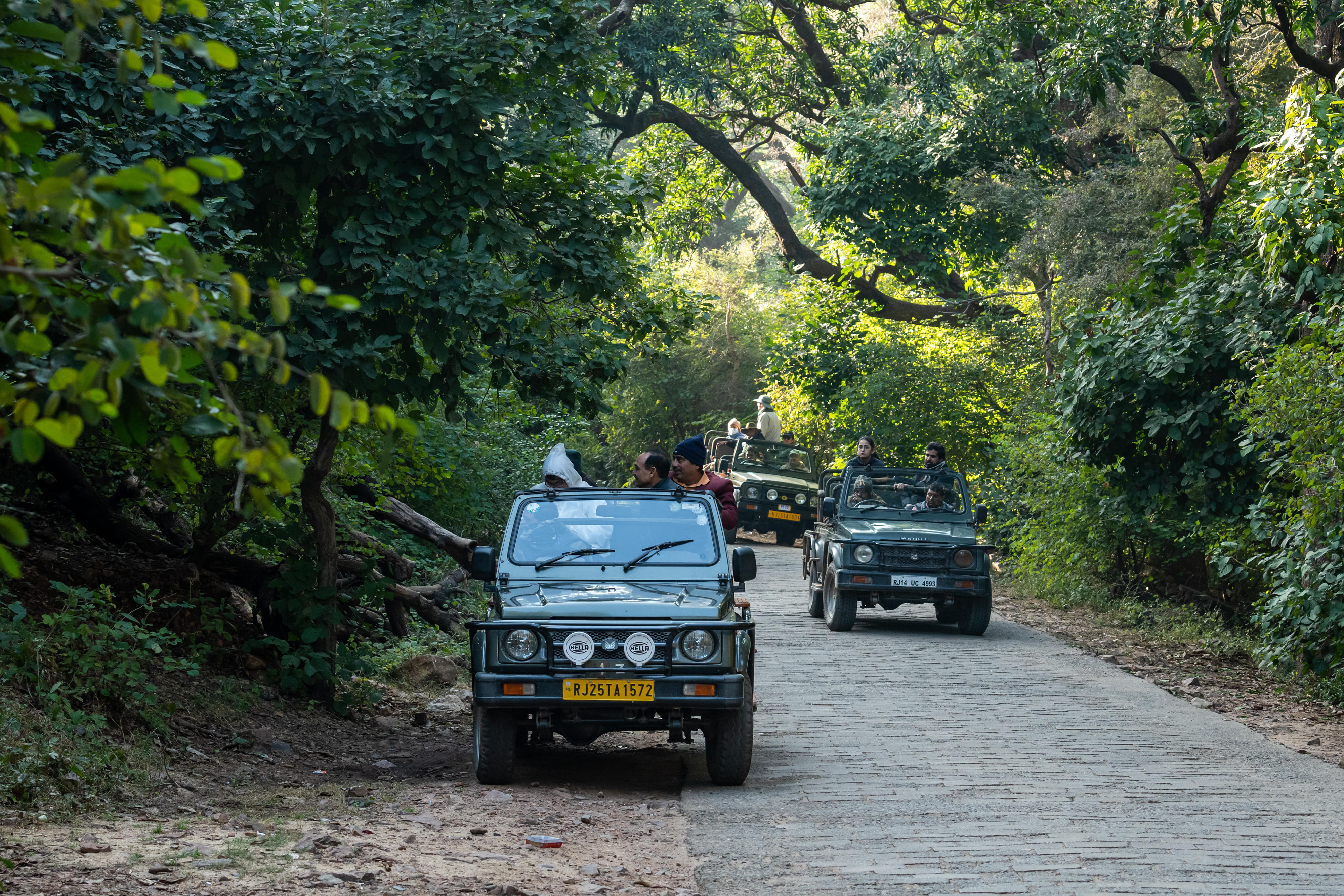 Things to Do in Ranthambore